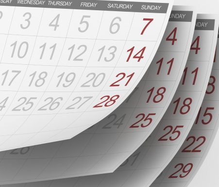 Excellin, planning quotidien